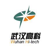 武汉高科 Wuhan Hi-tech Group